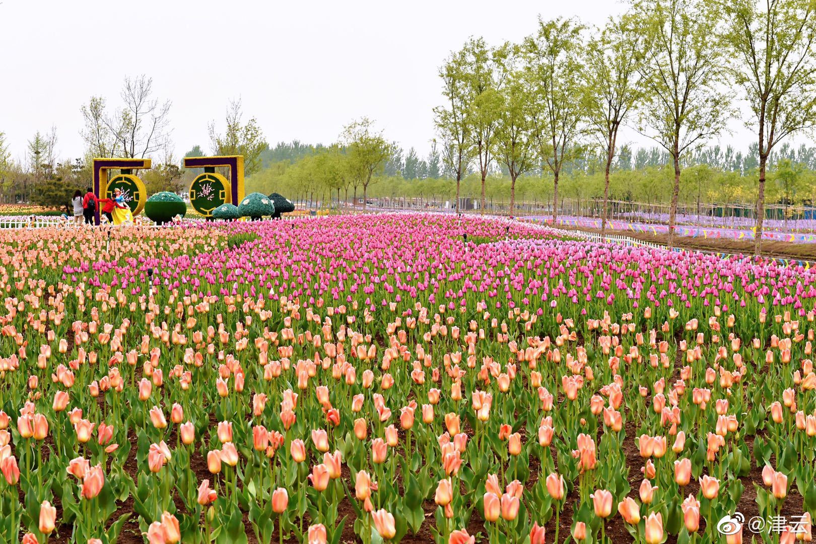 马斯克与x就1.28亿美元遣散费与,原twitter高管达成和解