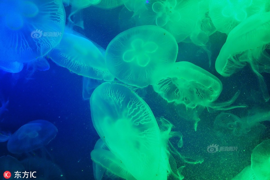 黄金征税新规，如何影响黄.金投资？有色龙头etf（159876）收跌1.43%短期均线失而复得