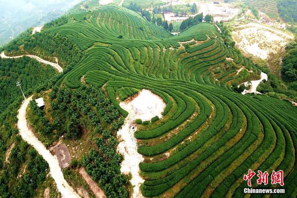 中炬高,新：目前‘公’司正积极推动组织能力优化