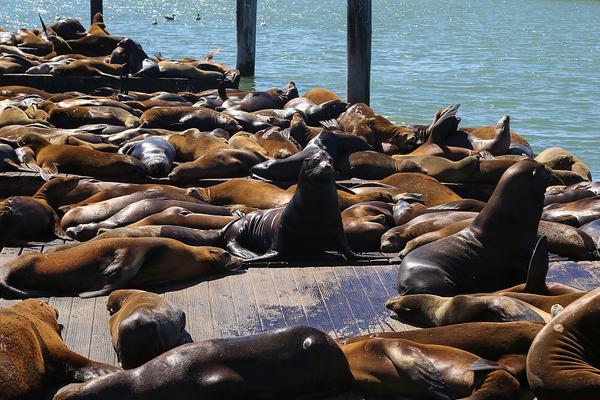 仁度生物拟每股派—发:现金红利0.15元