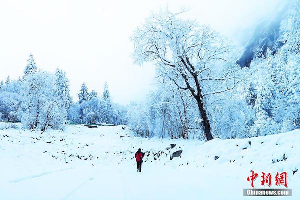 僵持.！—2025年9月14日-今日最新猪价行情