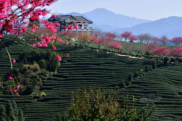 “超级黄—金周,”激发长线游需求 文旅部发布旅游安全提醒