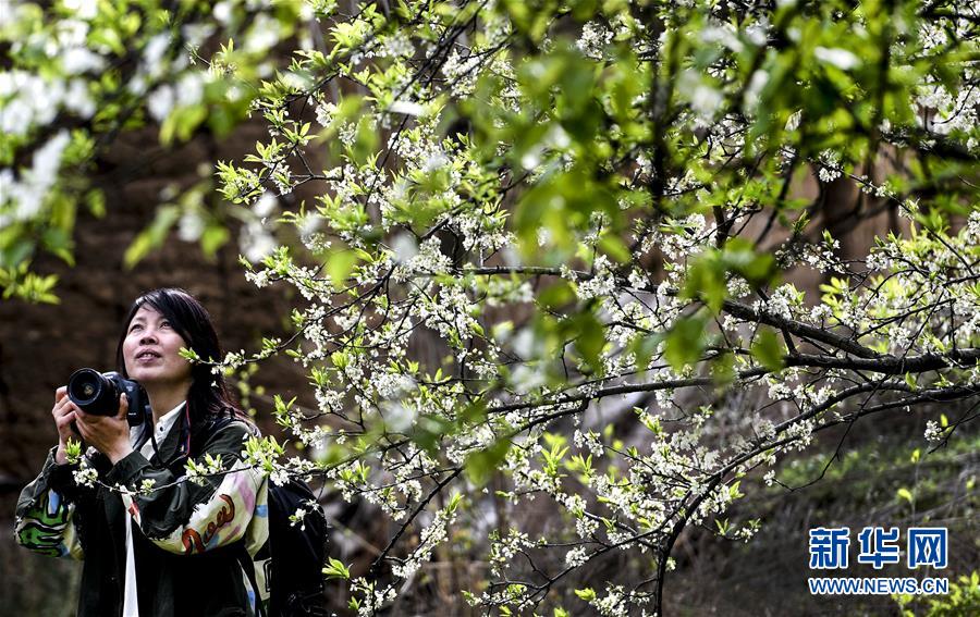 渣打集:团回购54万股 金额746万英镑