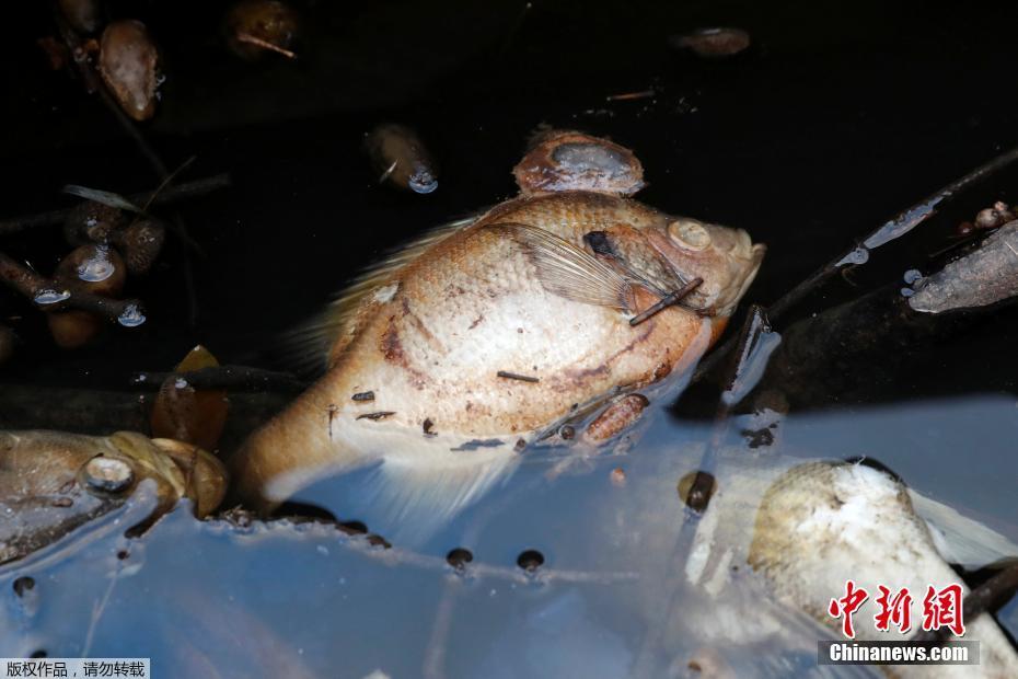 克利夫兰克<利>夫斯营收上,升　受益于美国钢铁关税与汽车需求回暖